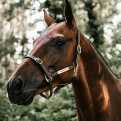 Kentucky Horsewear - Licol en cuir synthétique flexible