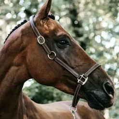 Kentucky Horsewear - Licol en cuir synthétique flexible