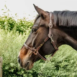 Kentucky Horsewear - Licol en cuir synthétique flexible