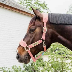 Kentucky Horsewear - Licol polaire Teddy vieux rose