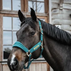 Kentucky Horsewear - Licol Velvet émeraude