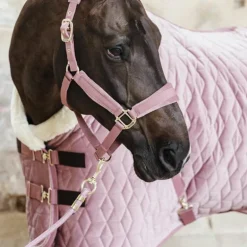 Kentucky Horsewear - Licol Velvet vieux rose