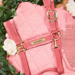 Kentucky Horsewear - Licol Velvet vieux rose