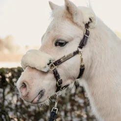 Kentucky Horsewear - Licol en cuir mouton pour Minis