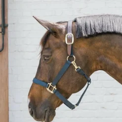 Kentucky Horsewear - Licol nylon Breakaway marine