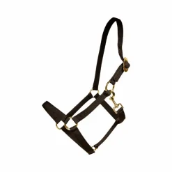 Kentucky Horsewear - Licol Nylon noir