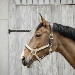 Kentucky Horsewear - Licol anatomique nylon beige