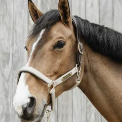 Kentucky Horsewear - Licol anatomique nylon beige