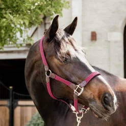 Kentucky Horsewear - Licol nylon tressé bordeaux