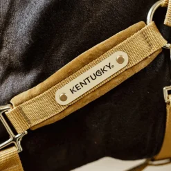 Kentucky Horsewear - Licol Velvet moutarde