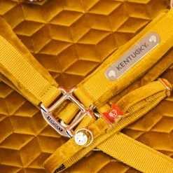 Kentucky Horsewear - Licol Velvet moutarde