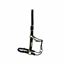 Kentucky Horsewear - Licol cheval Control