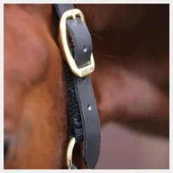 Kentucky Horsewear - Licol cheval Control