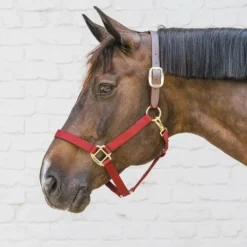 Kentucky Horsewear - Licol nylon Breakaway bordeaux