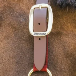 Kentucky Horsewear - Licol nylon Breakaway bordeaux