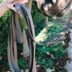 Kentucky Horsewear - Longe de présentation étalon marron