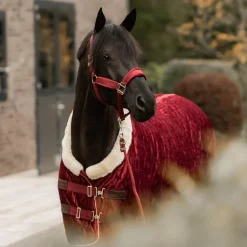 Kentucky Horsewear - Longe nylon 2m bordeaux