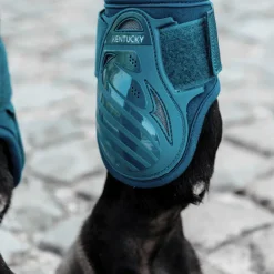 Kentucky Horsewear - Protège-boulets jeunes chevaux emeraude