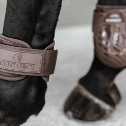 Kentucky Horsewear - Protège-boulets jeunes chevaux marron