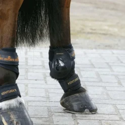 Kentucky Horsewear - Protège-paturons