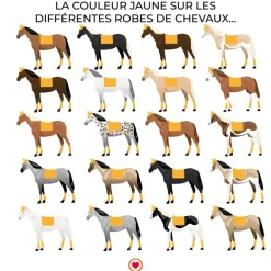 Kentucky Horsewear - Tapis de dressage Velvet Moutarde