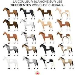 Kentucky Horsewear - Tapis de dressage Fishbone blanc