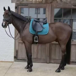 Kentucky Horsewear - Tapis de dressage Melange vert emeraude