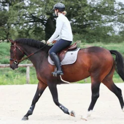 Kentucky Horsewear - Tapis de selle Basic Velvet jumping gris