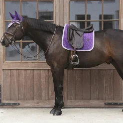 Kentucky Horsewear - Tapis de dressage velvet contrast violet royal