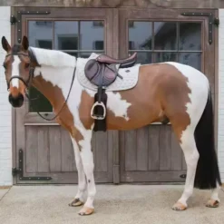 Kentucky Horsewear - Tapis de selle Melange beige