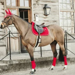 Kentucky Horsewear - Tapis de selle Velvet jumping Rouge