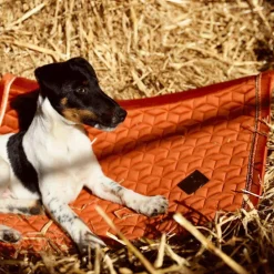 Kentucky Horsewear - Tapis de dressage Velvet Orange