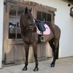 Kentucky Horsewear - Tapis de dressage Collection Sammy vieux rose