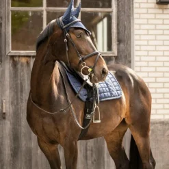 Lami-cell - Bonnet pour chevaux Galaxy marine