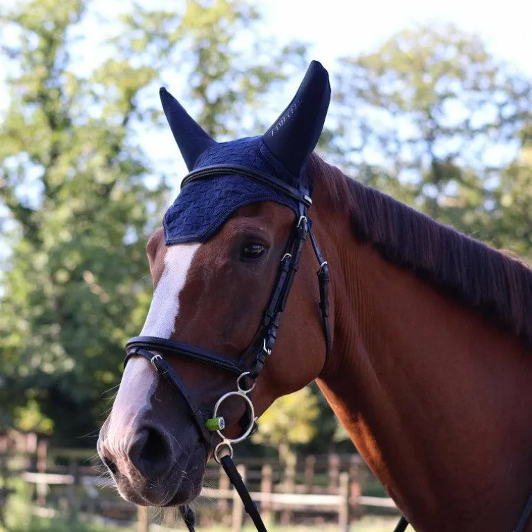 Lami-cell - Bonnet pour chevaux Silentair marine