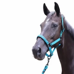 Lami-cell - Longe d'attache Charming turquoise