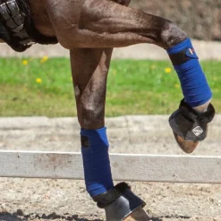 LeMieux - Bandes de polo Benetton Blue (x4)