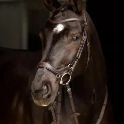 LeMieux - Bridon Arika muserolle basse marron/ argent