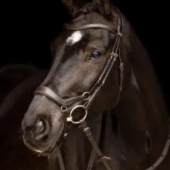 LeMieux - Bridon Arika muserolle basse marron/ argent