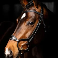 LeMieux - Bridon Arika muserolle anatomique noir/ argent