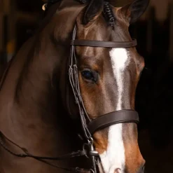 LeMieux - Bridon avec rênes Flat Hunter havane/ argent