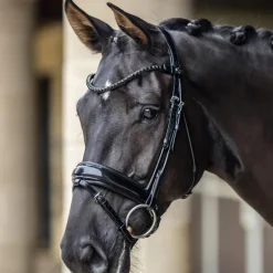 LeMieux - Bridon de dressage Kudos Patent noir