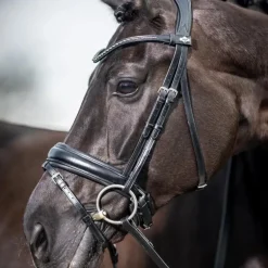 LeMieux - Bridon Kudos Classic Dressage noir