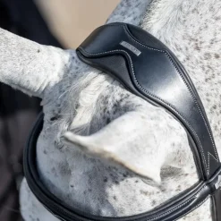 LeMieux - Bridon Kudos Competition Flash noir