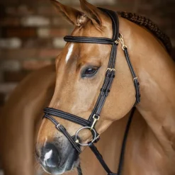 LeMieux - Bridon Kudos Work marron