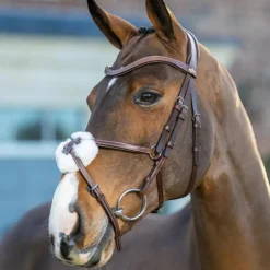 LeMieux - Bridon muserolle croisée Arika havane/ argent