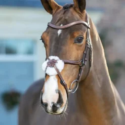 LeMieux - Bridon muserolle croisée Arika havane/ argent