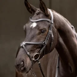 LeMieux - Bridon muserolle croisée Arika noir/ argent