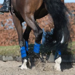 LeMieux - Guêtres fermées Grafter bleu x2