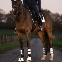 LeMieux - Guêtres fermées réfléchissantes Grafter marine